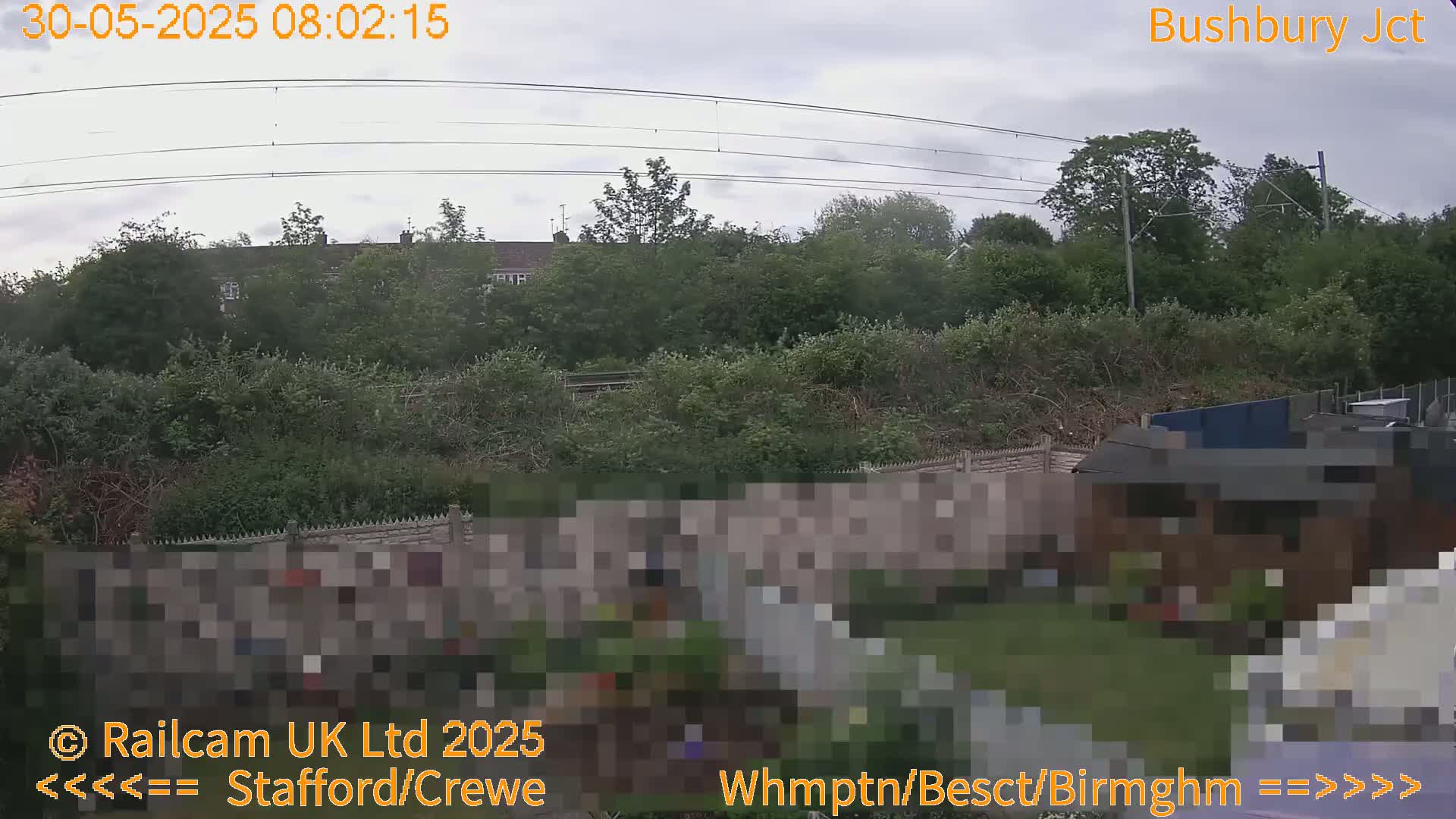 A view of a residential area, partially obscured by vegetation and fencing, on an overcast day with power lines overhead.