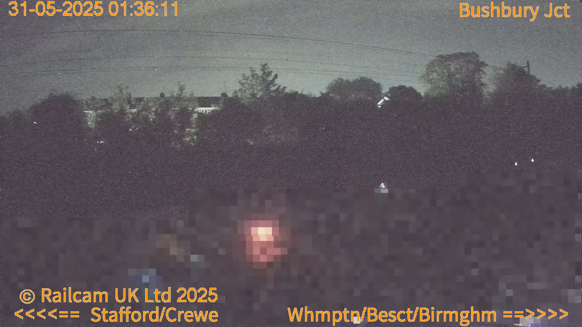 A nighttime, low-light view of dark trees and a building, possibly under an overcast sky.