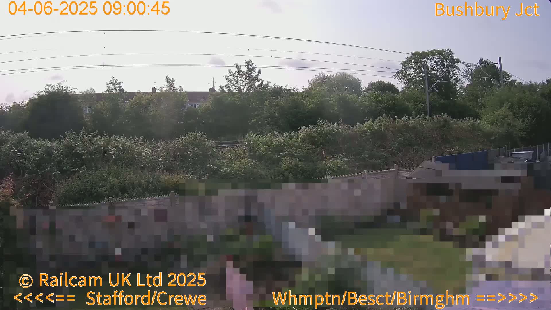 A mostly sunny view of a garden with a wall separating it from a treeline and power lines overhead.