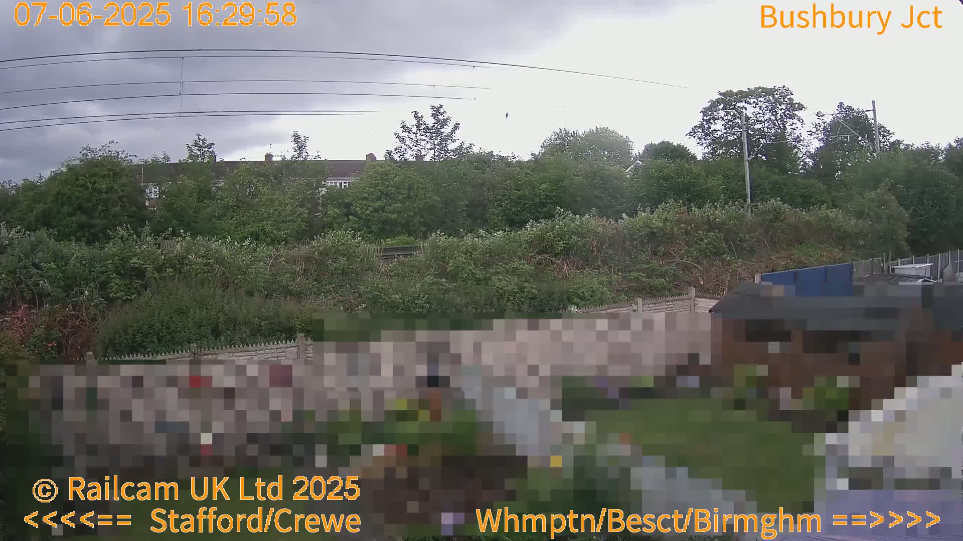 A backyard garden scene with overcast skies is visible beyond a wall, showing a small shed and some houses in the distance.