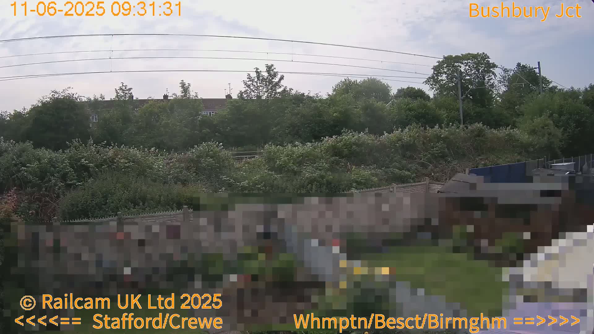 A view of lush green vegetation, a stone wall, and a residential building in the background under an overcast sky.