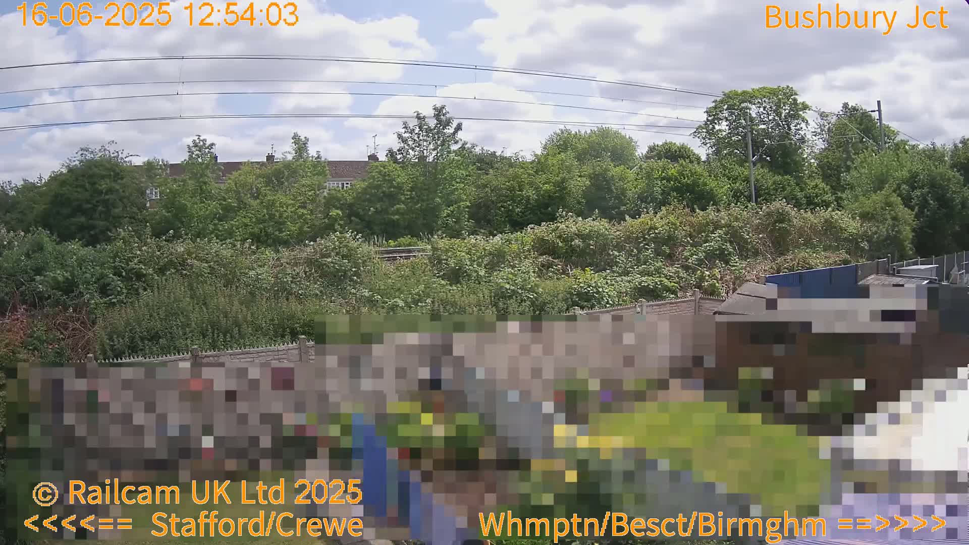 A backyard garden scene with a partly cloudy sky, overlooked by power lines and a residential area beyond a lush green hedge.