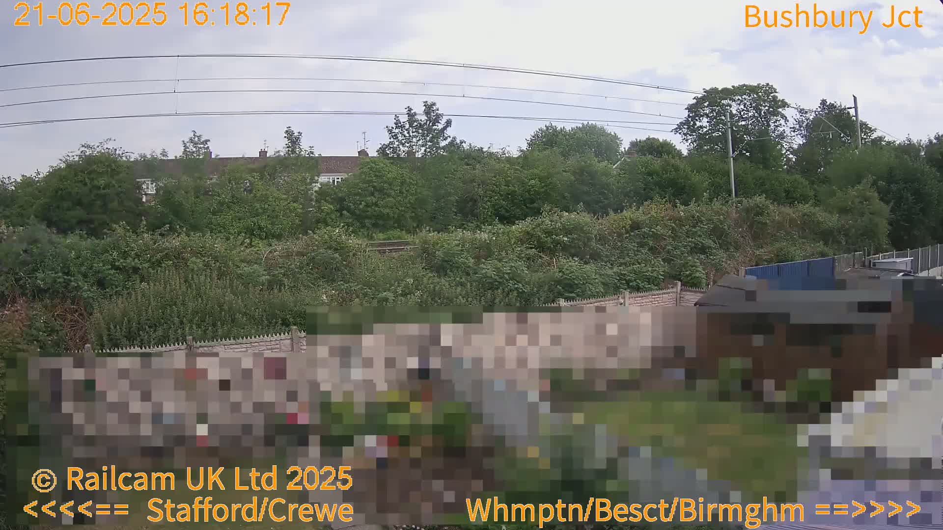 A view of a backyard garden with overgrown greenery and a partly visible shed, under a partly cloudy sky.