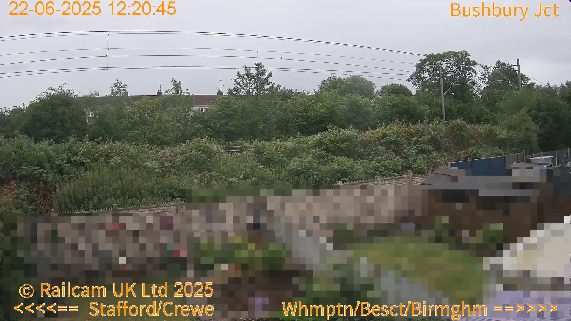 A view of lush green vegetation and houses beyond a fence, under an overcast sky.