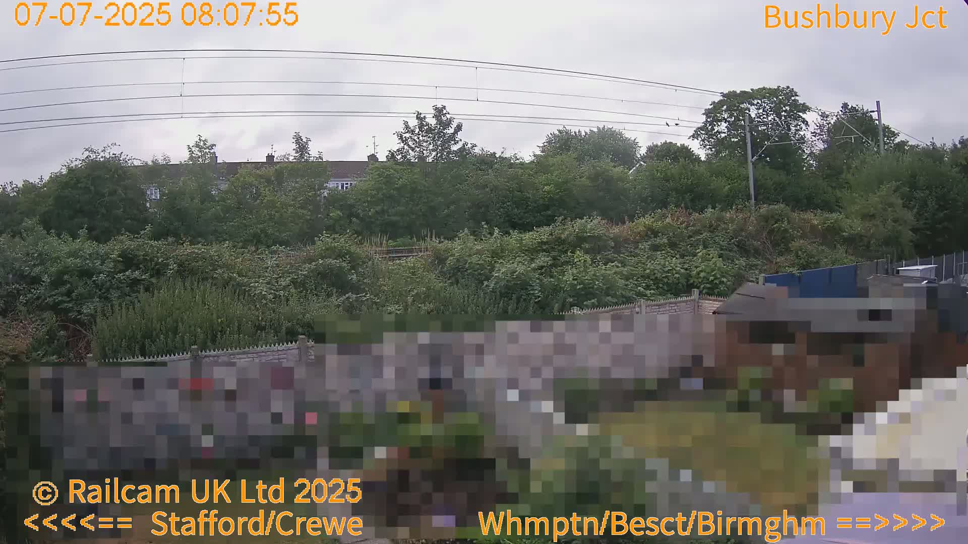A view of lush green vegetation and a gray stone wall under a cloudy sky.