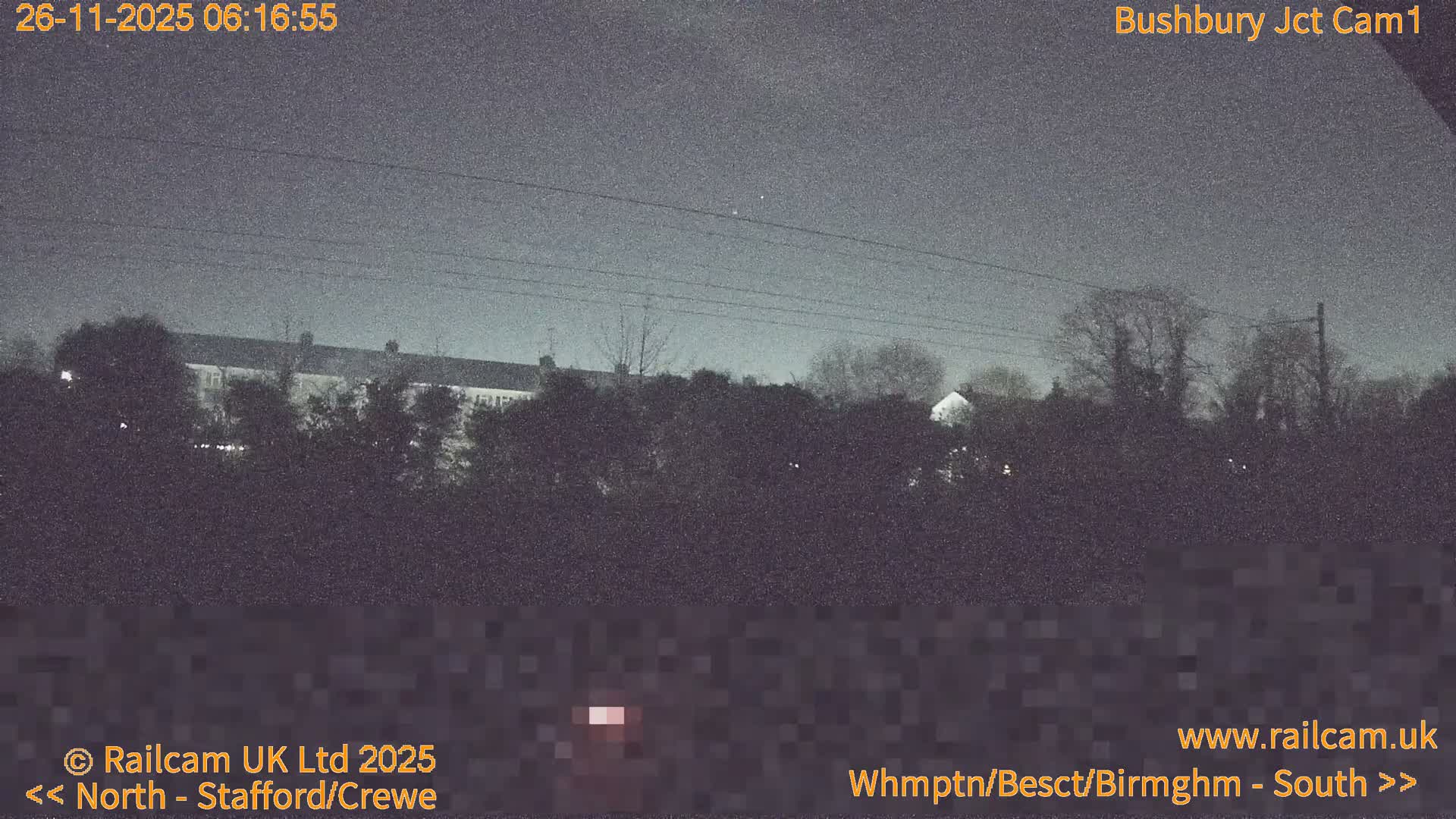 A grainy outdoor scene at dawn or dusk reveals buildings partially obscured by dense vegetation, with utility wires visible against a dim, overcast grey sky.