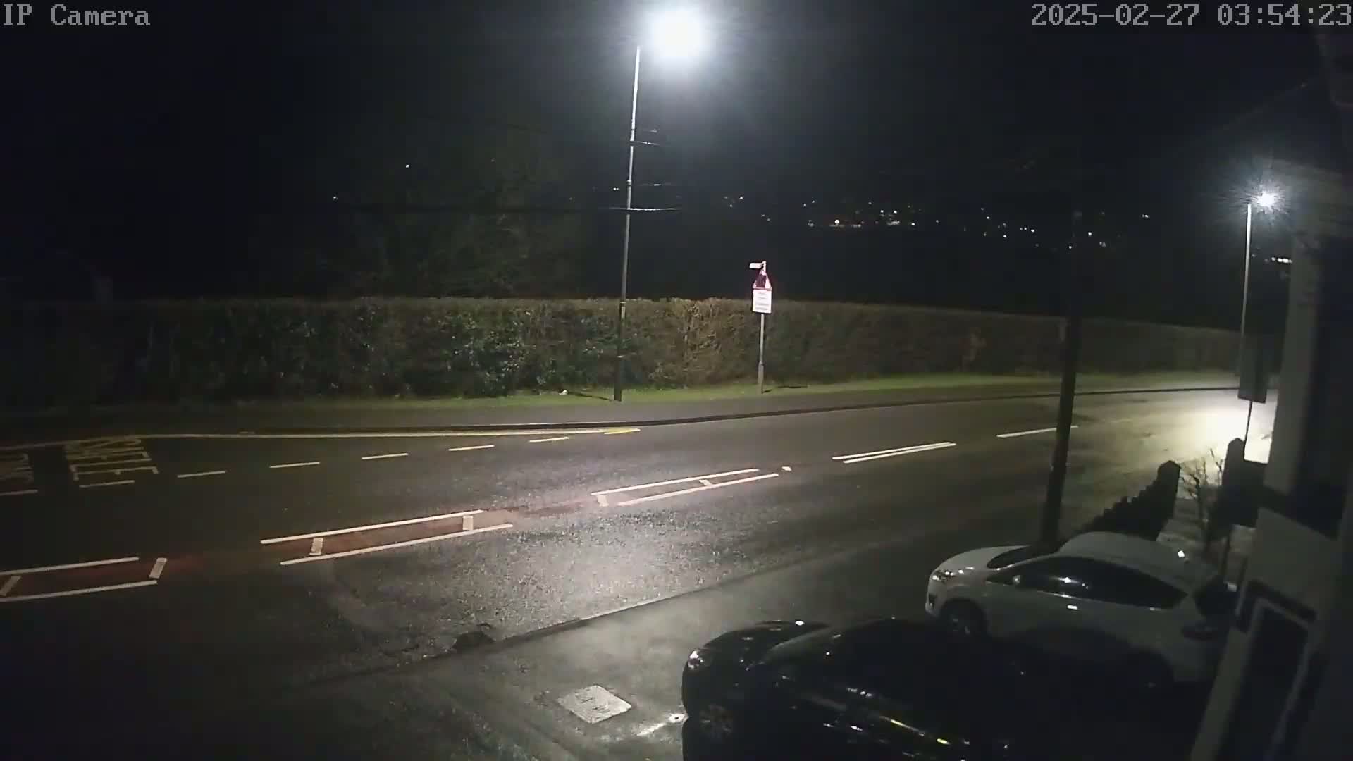 A wet, nighttime street scene shows two cars parked near a hedge, illuminated by streetlights.