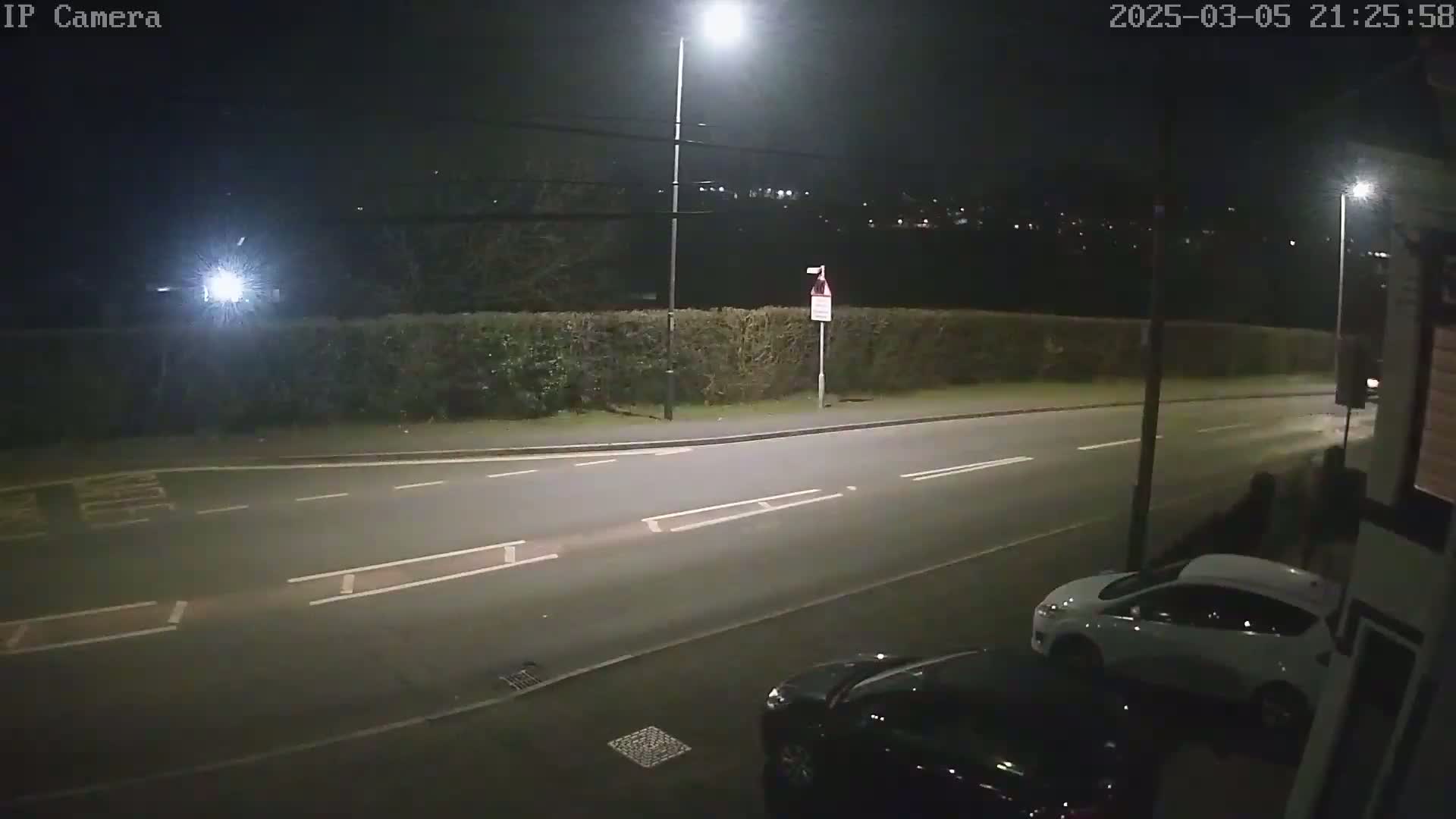 A nighttime, dimly lit street scene shows a road with two cars parked near the curb, a tall hedge along the opposite side, and streetlights illuminating the area.