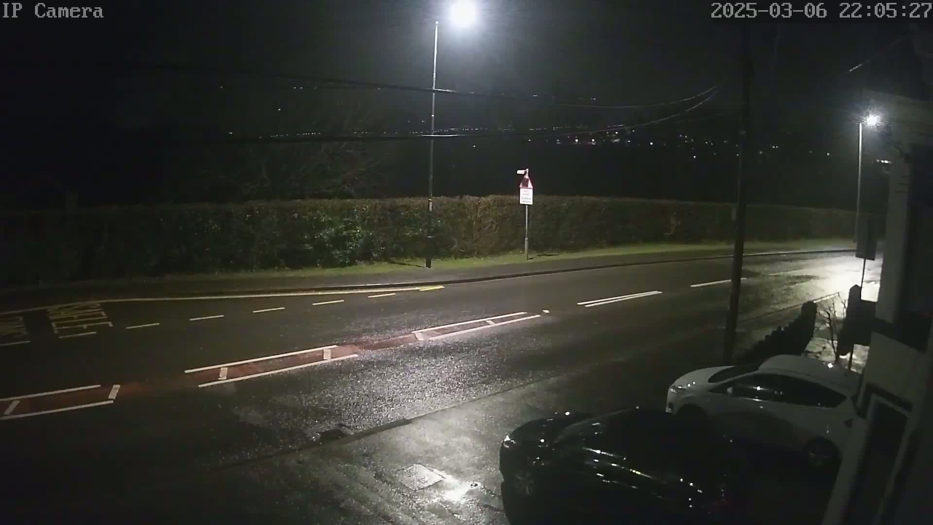 A wet, nighttime street scene shows two parked cars near a hedge, under illuminated streetlights.