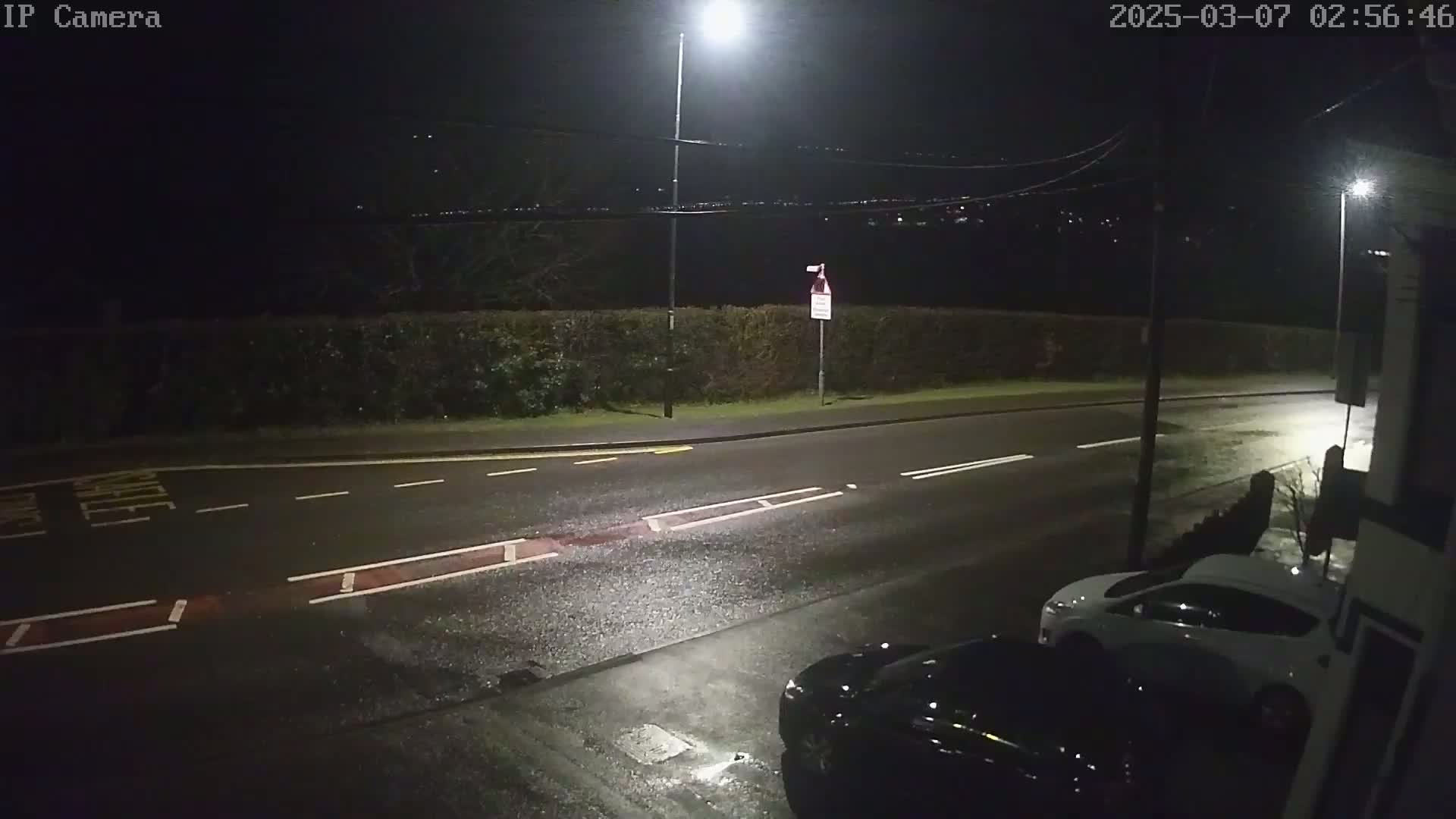 A wet, dark road at night is illuminated by streetlights, with two cars parked along the curb and a hedge in the background.