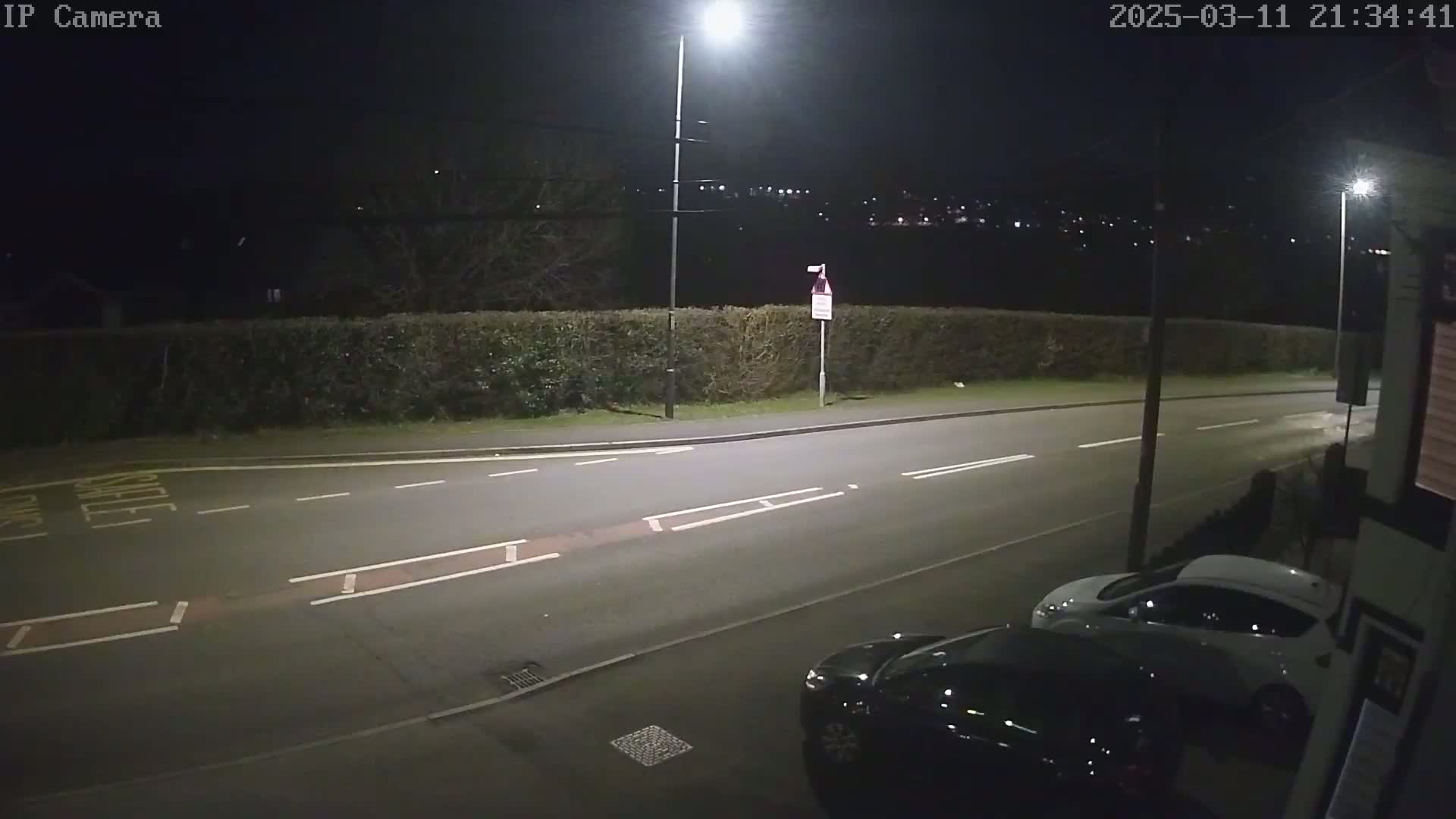 At night, two cars are parked on the side of a road next to a hedge, under illuminated streetlights.