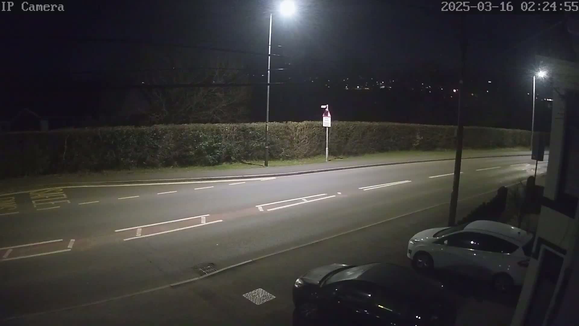 A nighttime view of a residential street, illuminated by streetlights, shows two parked cars and a hedge bordering the road.