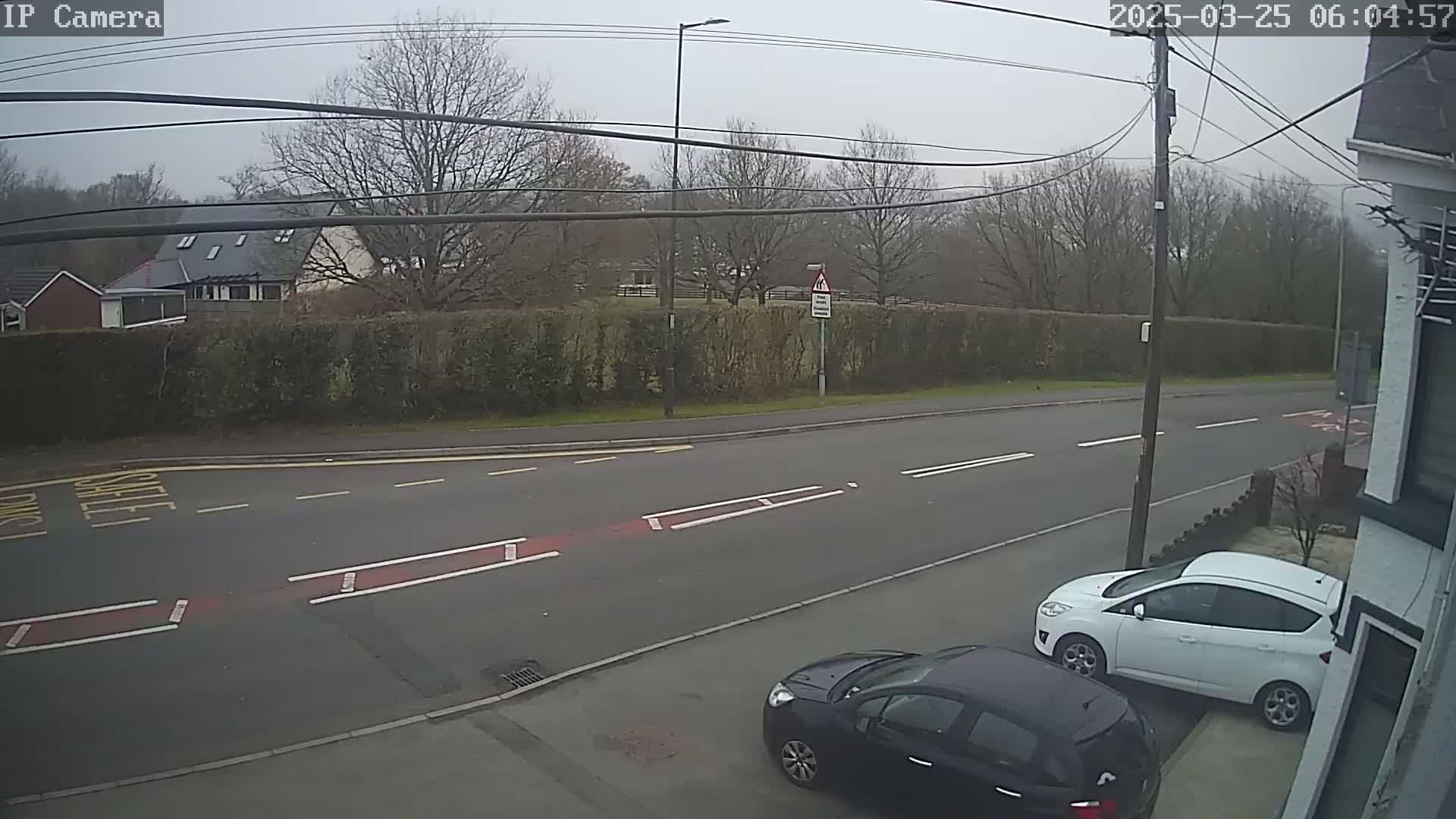 A gray, overcast day reveals a street scene with two parked cars, one white and one dark-colored, near a hedgerow and a road with painted lane markings.