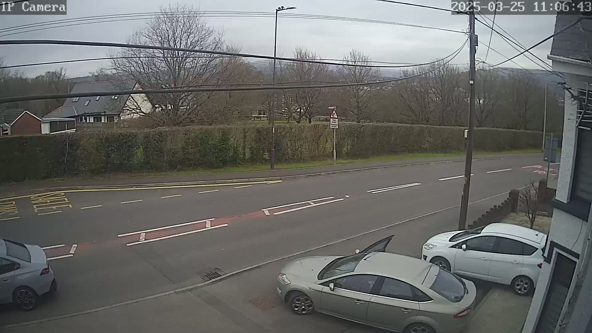 A grey and a white car are parked on a residential street under an overcast sky.