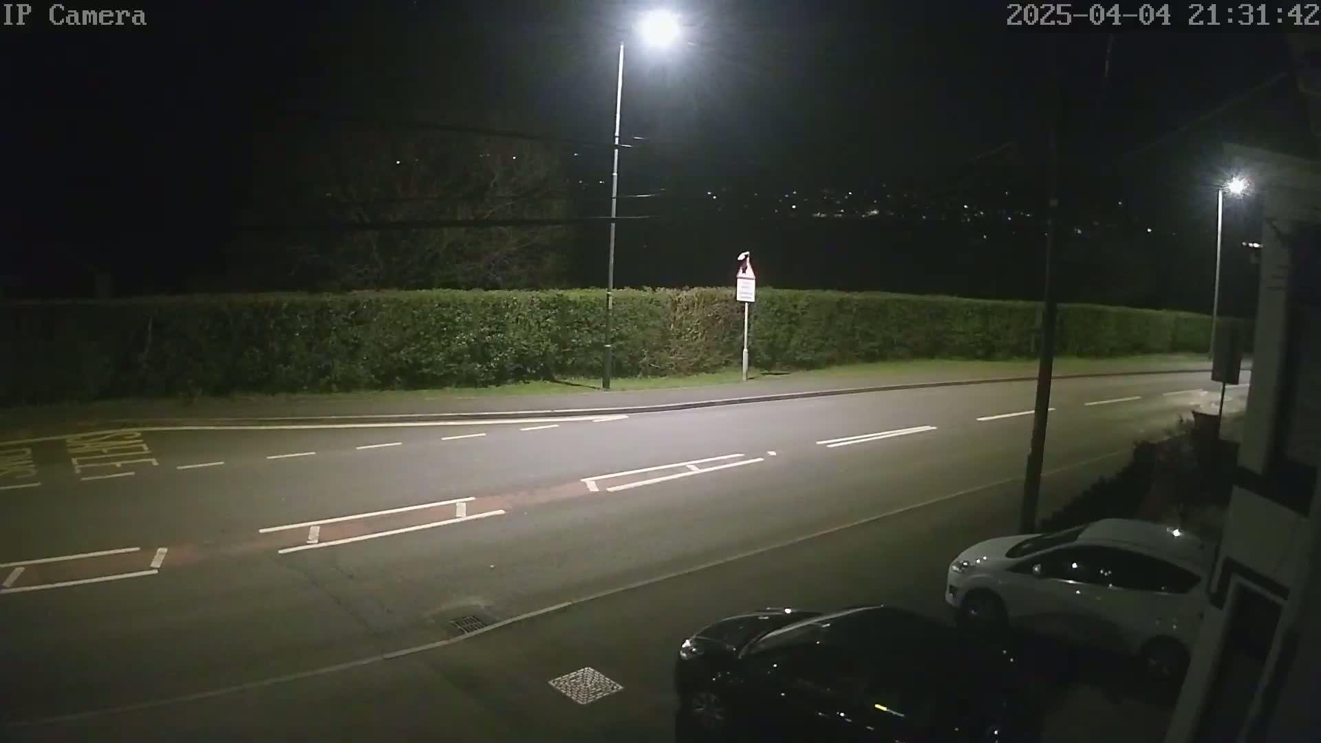 A nighttime view of a residential street, illuminated by streetlights, shows two parked cars and a hedge along the roadside.