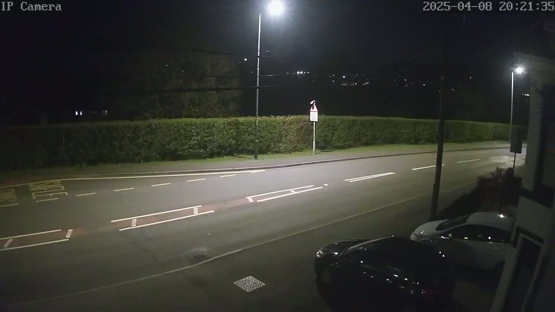 A nighttime, low-light view of a residential street with parked cars, a hedge, and streetlights illuminating the asphalt.