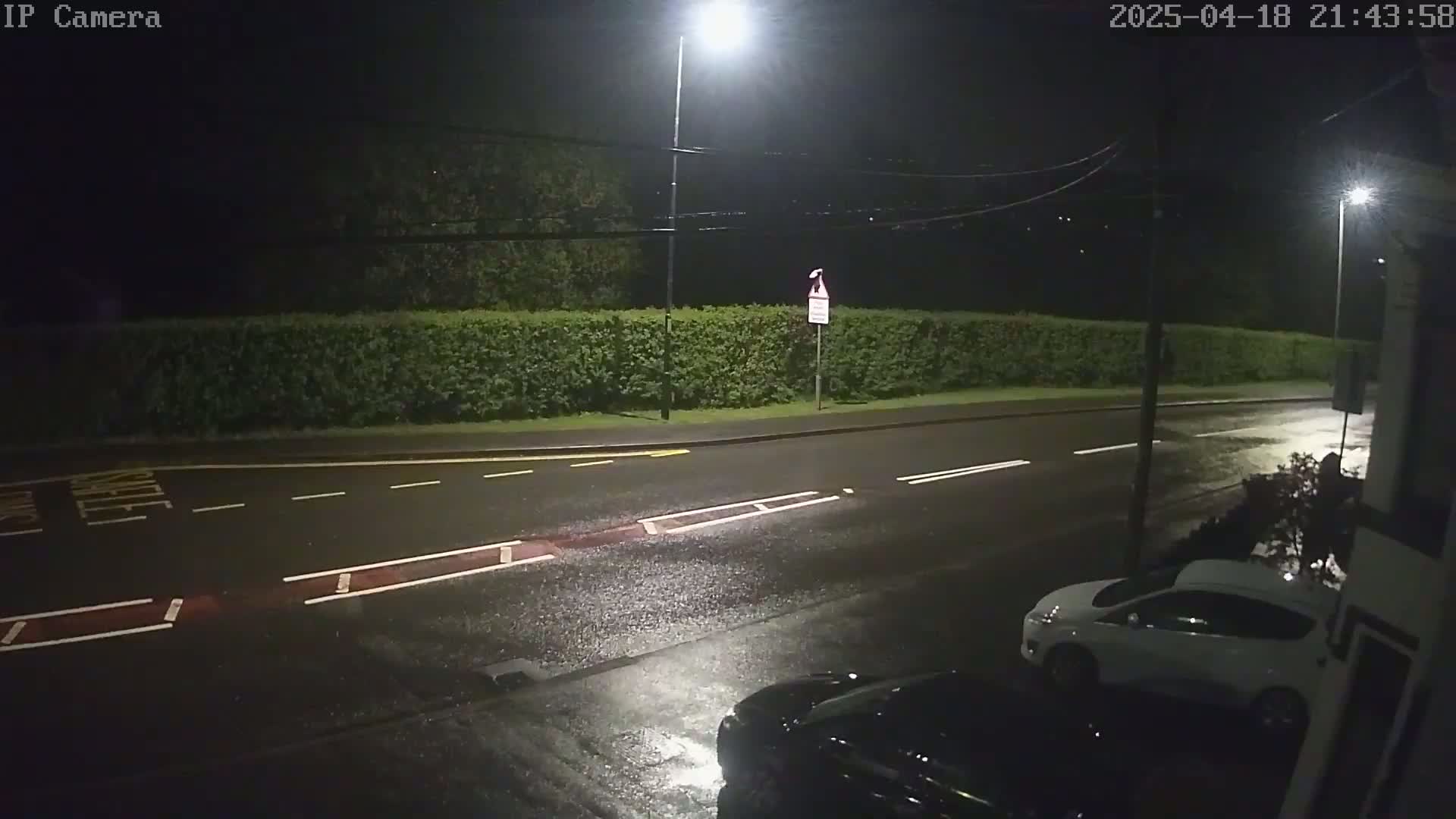 A wet, nighttime street scene shows a road with white lines, a hedge, parked cars, and streetlights.