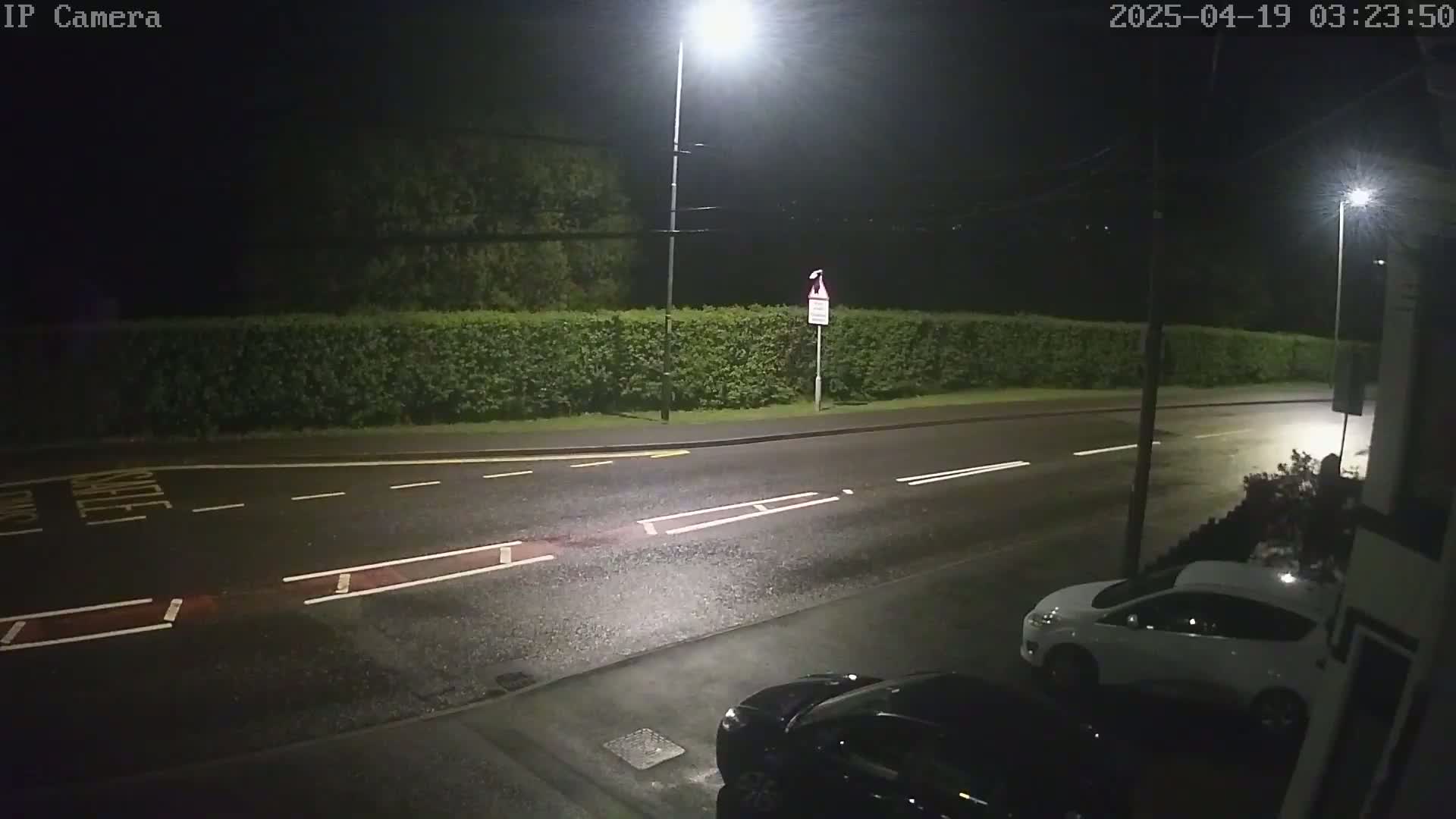 A wet, dark street at night is lit by streetlights, showing a hedge, two parked cars, and road markings.