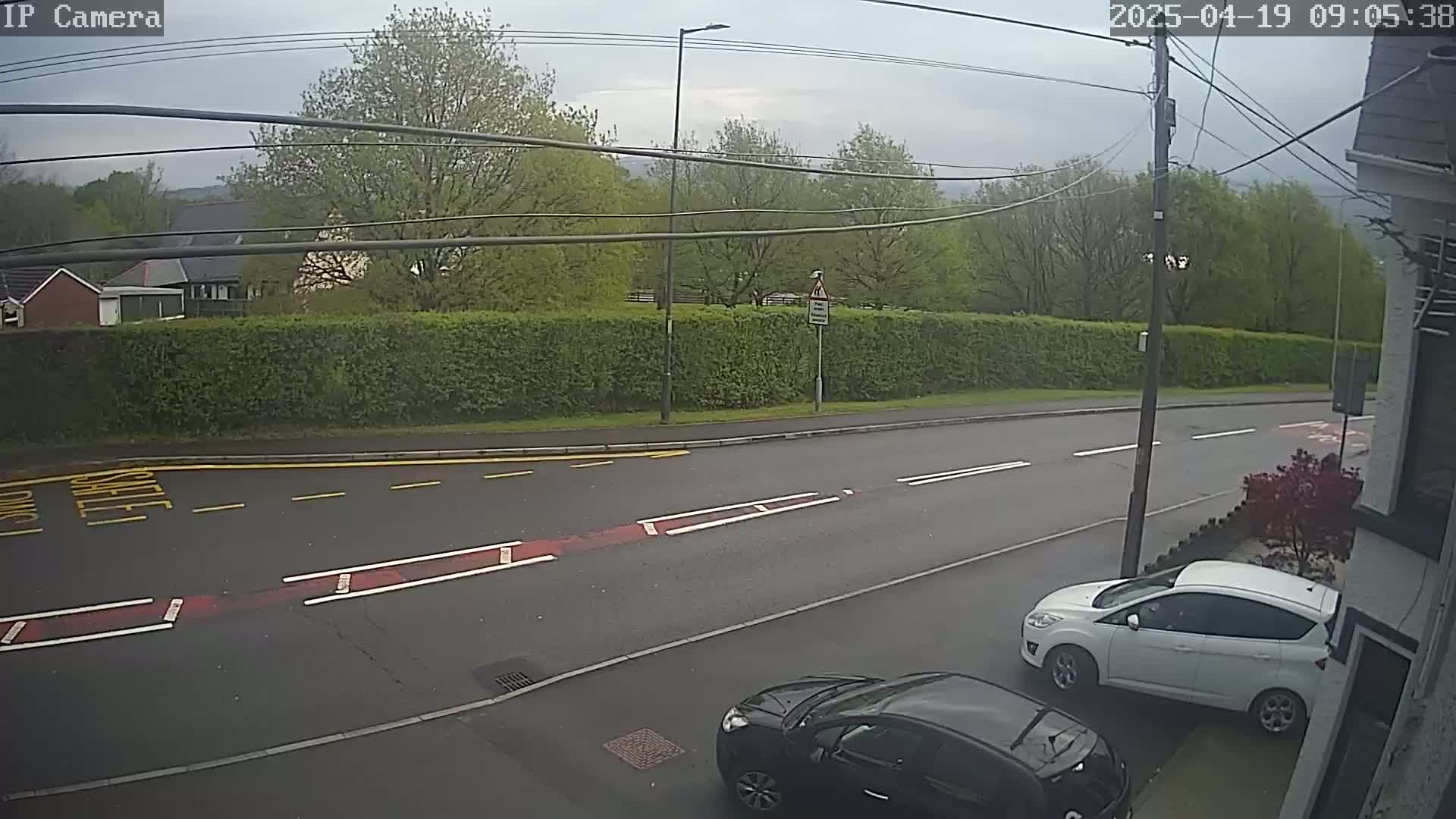 A street scene on an overcast day shows a road with cars parked along the side, a hedgerow across the street, and buildings in the background.