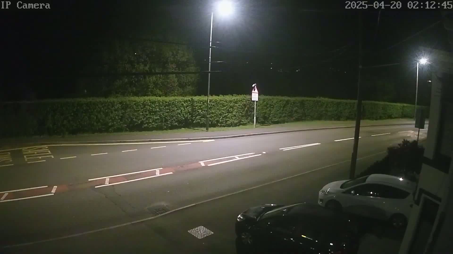 At night, a street with a hedge and parked cars is illuminated by streetlights.