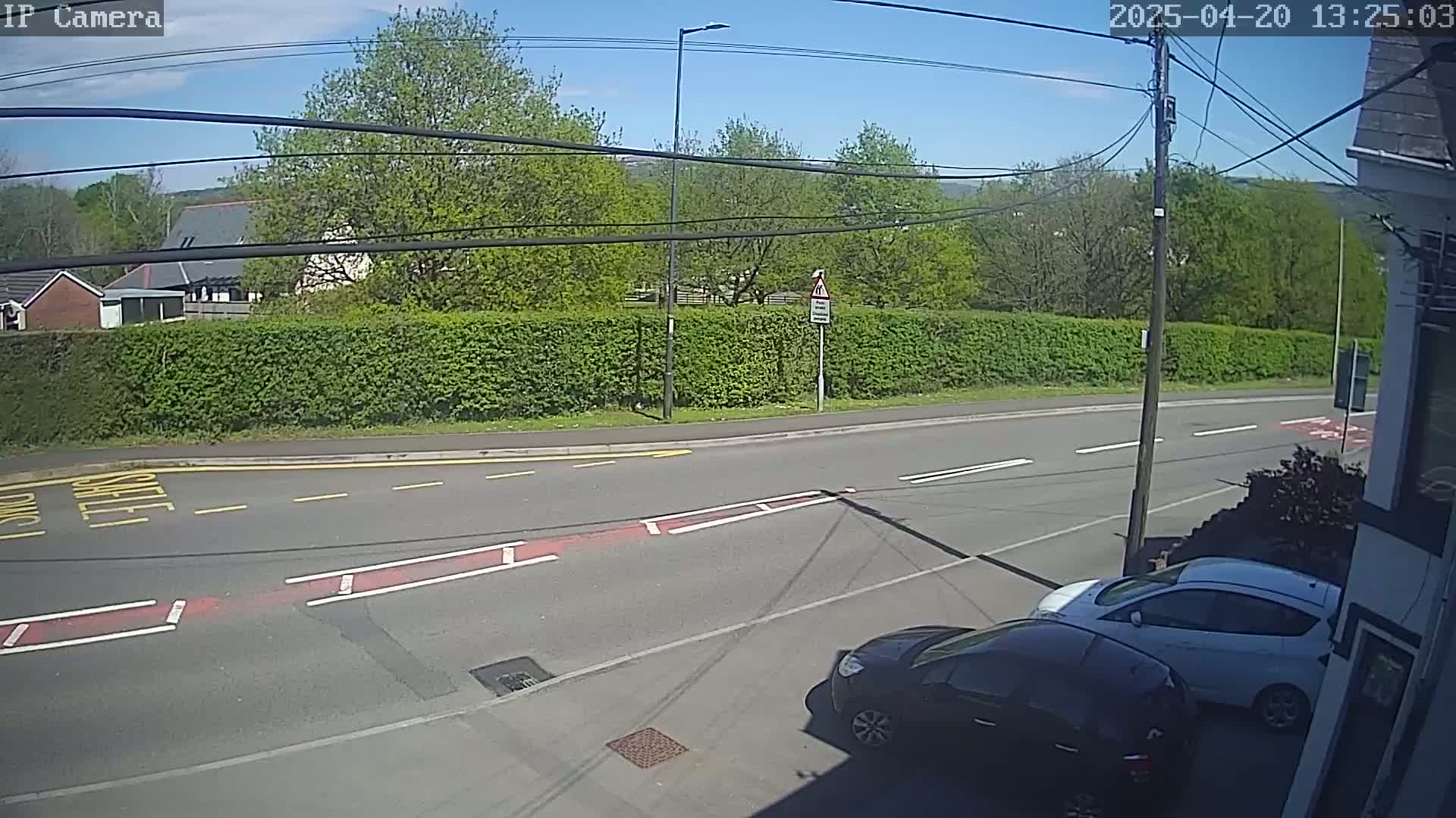 Two cars are parked on a sunny street next to a tall hedge, with buildings and trees visible in the background.