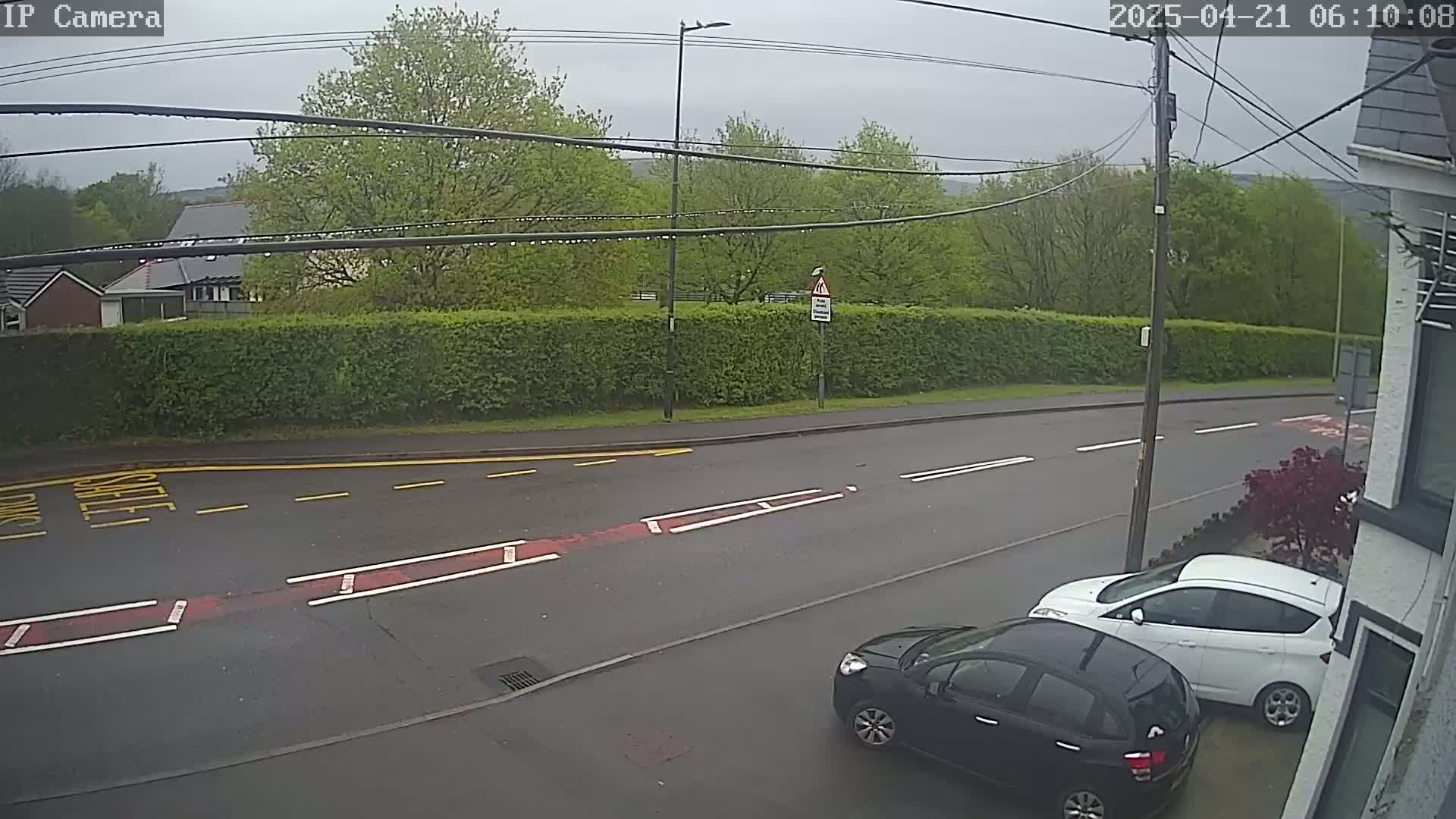 Two cars are parked on a wet street in front of a tall hedge, under a gray sky.