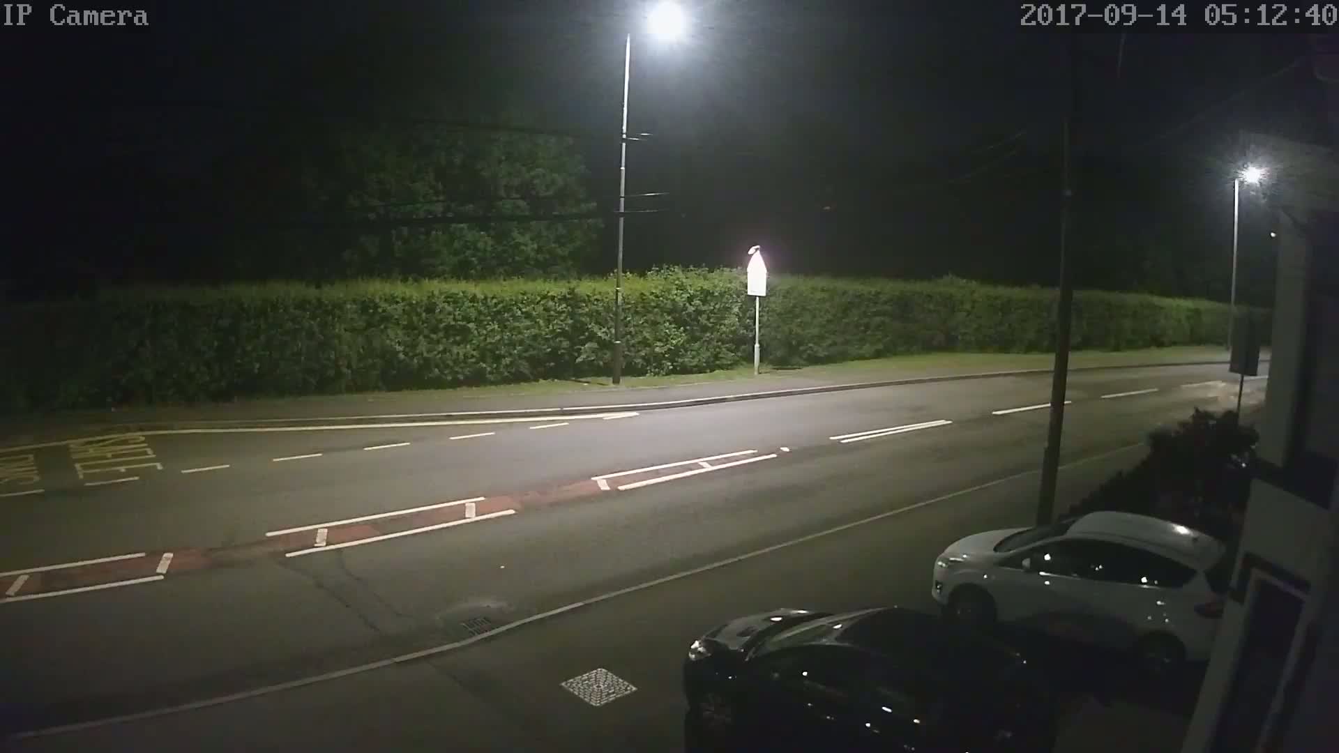 A nighttime view of a street with two parked cars, a hedge, and streetlights illuminating a mostly empty road.