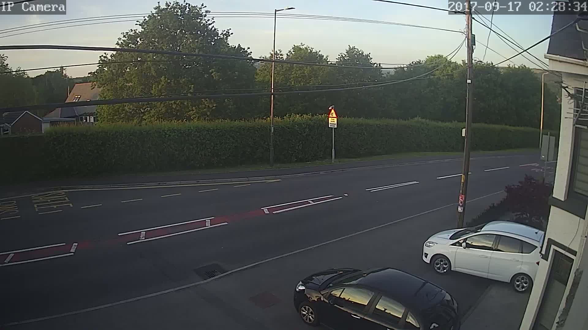 A quiet residential street at dawn shows two parked cars and a hedgerow across from a line of trees.
