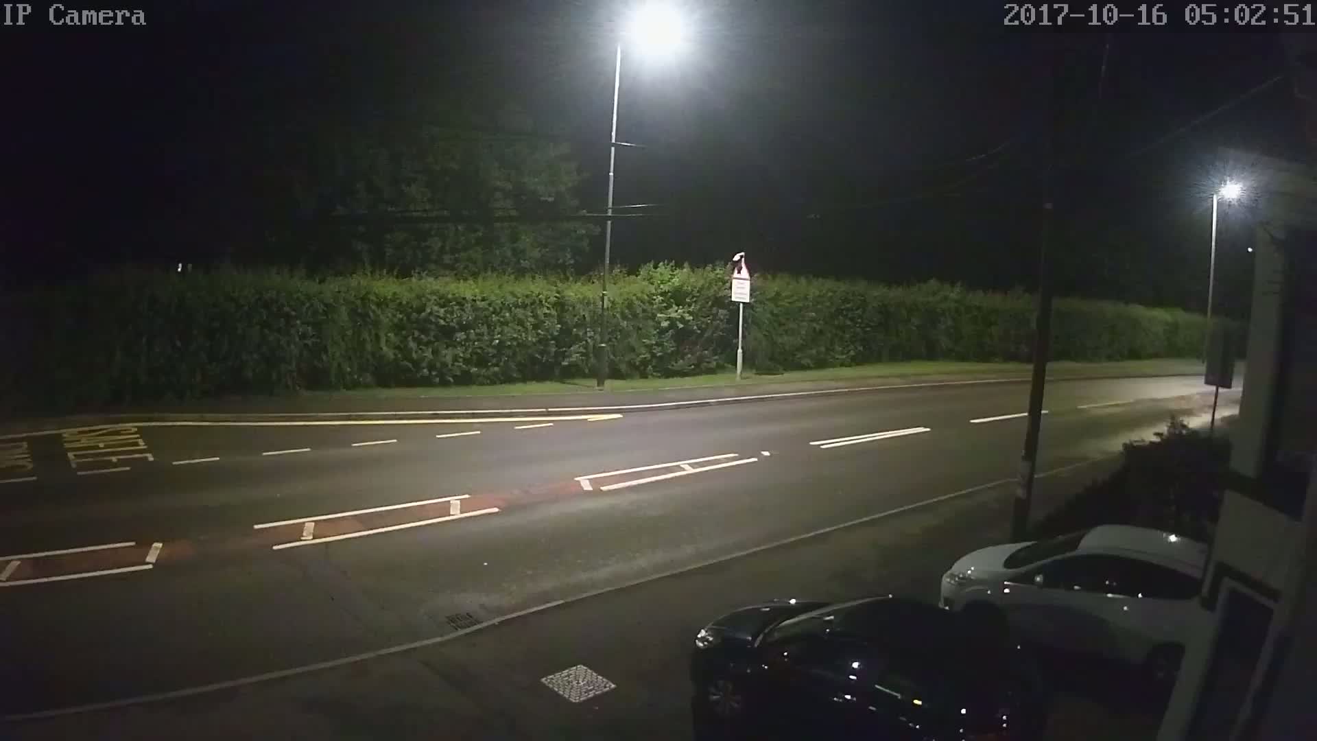 A nighttime view of a street illuminated by streetlights, showing two parked cars and a hedge bordering the road.