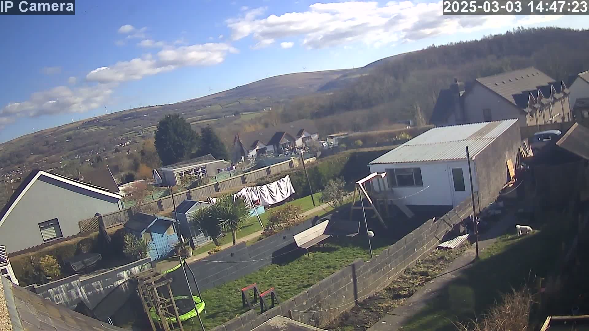 A backyard scene on a sunny day with some clouds, showing houses, a garden with a trampoline and a dog, and distant hills.