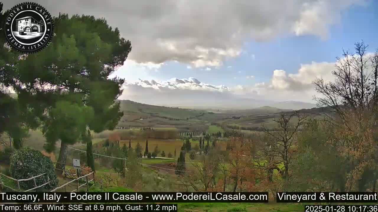A partly cloudy day reveals a view of rolling hills and vineyards, with a large pine tree in the foreground.