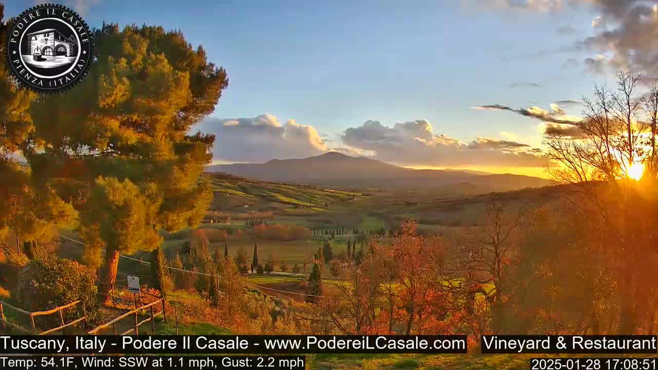 A sunset over rolling hills and vineyards, with a mountain in the distance under partly cloudy skies.