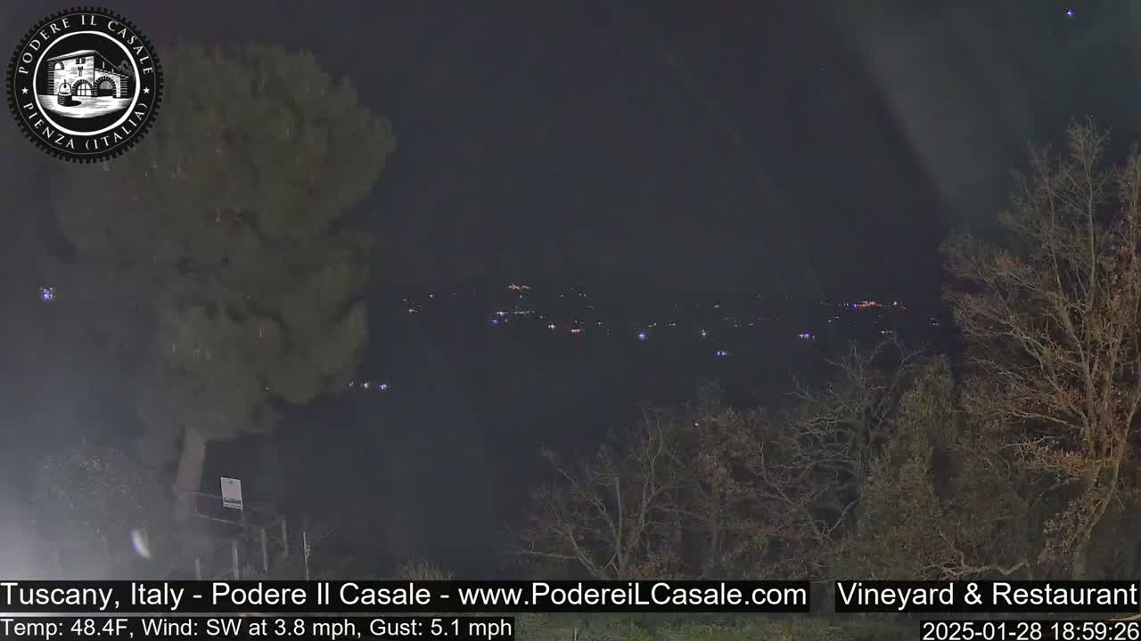 A nighttime view of a distant town illuminated with scattered lights, seen from a vantage point amidst bare, dark trees under a clear, dark sky with a southwest wind.