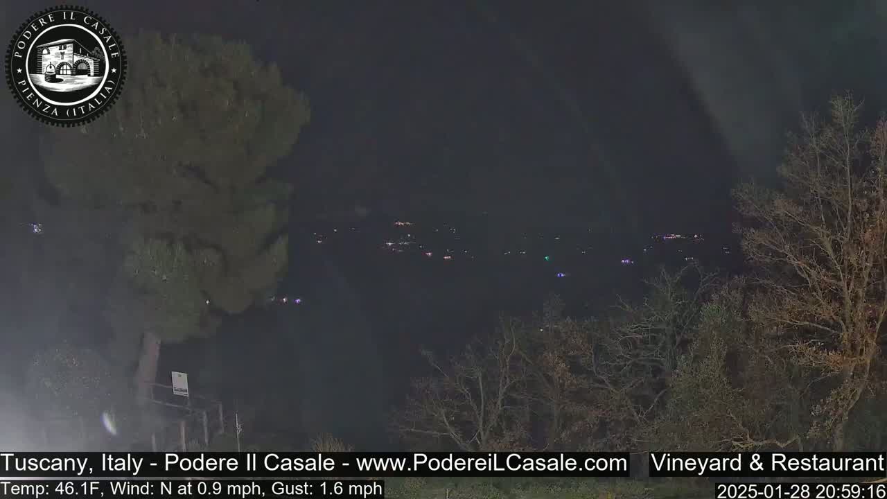A nighttime view of a dimly lit town in the distance, partially obscured by bare trees and bushes under a dark sky.
