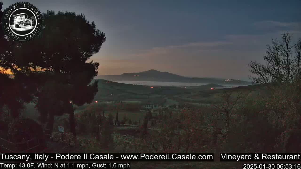 A pre-dawn view of a fog-covered valley and distant hills, with dark trees in the foreground under a twilight sky.