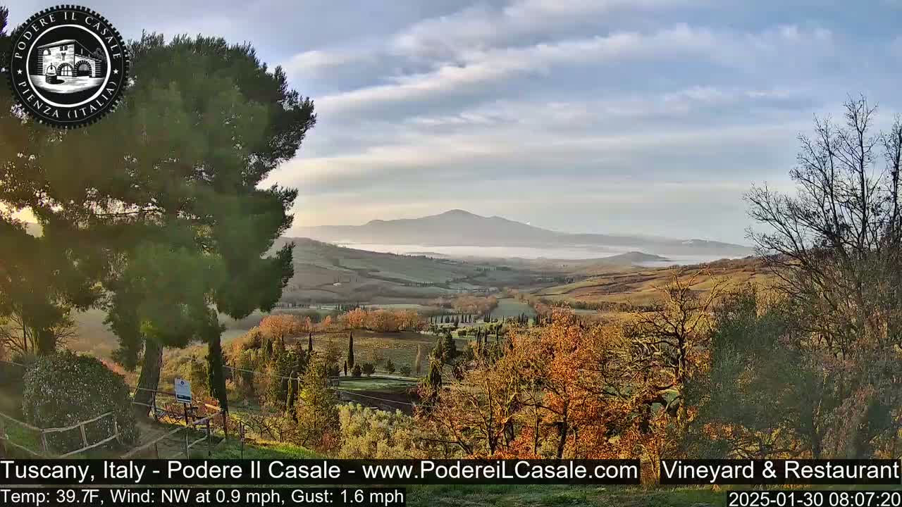 A panoramic view of a Tuscan landscape under a mostly clear sky, with a layer of fog or mist in a valley, shows rolling hills, trees with autumnal colors, and a distant mountain.