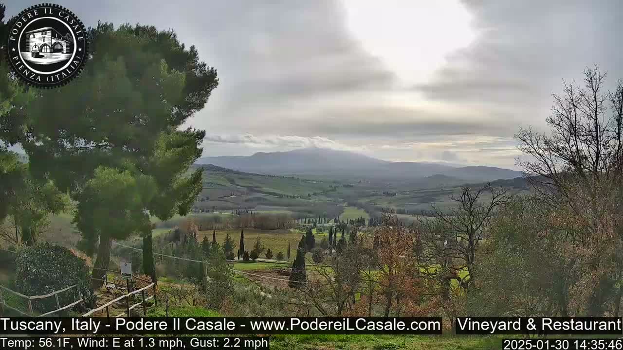 A partly cloudy view of a rolling green Tuscan landscape, with mountains in the distance and trees in the foreground.