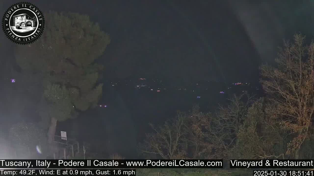 A nighttime view of distant city lights partially obscured by bare trees under a dark sky.