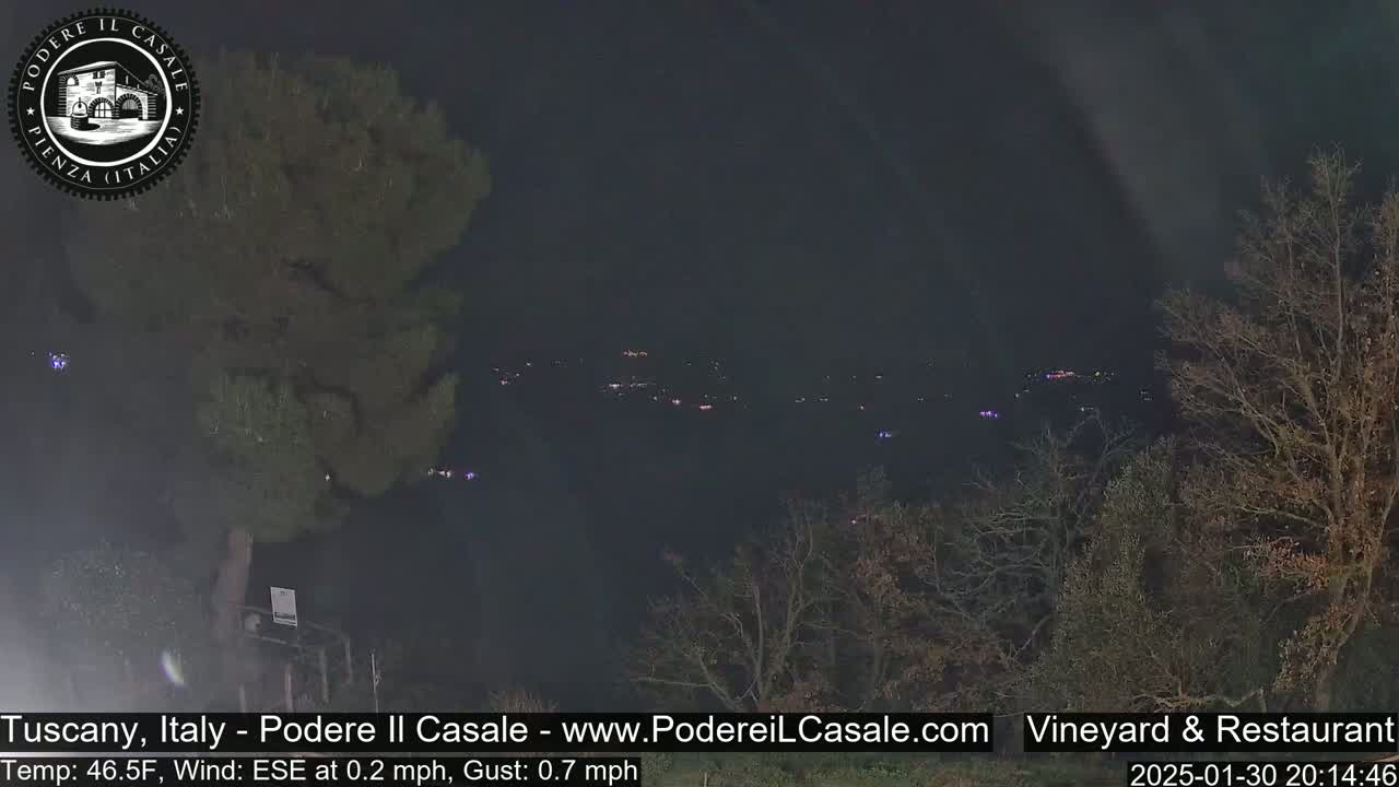 A nighttime view of a dimly lit town nestled in a valley, partially obscured by bare trees in the foreground, under a dark sky.
