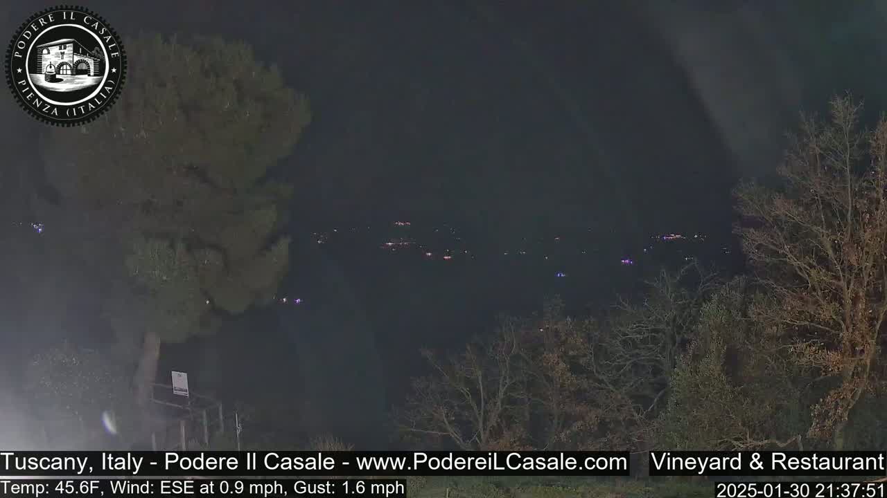 A nighttime view of distant lights across a valley, partially obscured by bare trees under a dark sky.