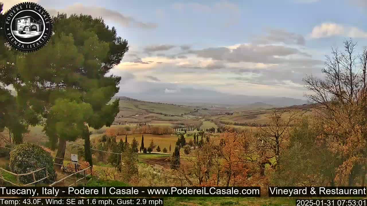 A partly cloudy sky overlooks a gently rolling Tuscan landscape of vineyards and olive groves under a light southeast wind.