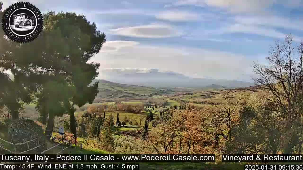 A partly cloudy day reveals a Tuscan landscape of rolling hills, vineyards, and sparse trees, with a gentle wind.