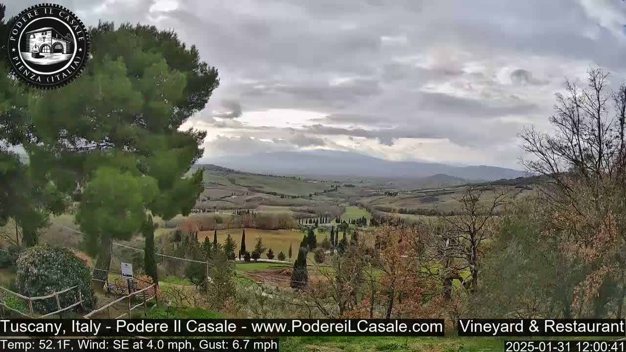 A rolling, partly cloudy Tuscan landscape is viewed from an elevated position, showing a vineyard and several cypress trees under a gray sky.