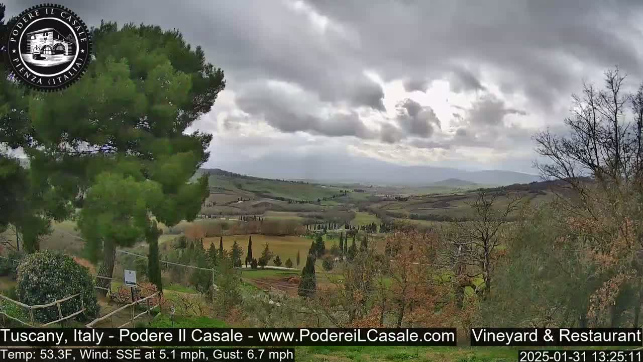 A rolling, green Tuscan landscape under a cloudy sky is viewed from a vantage point partially obscured by trees.
