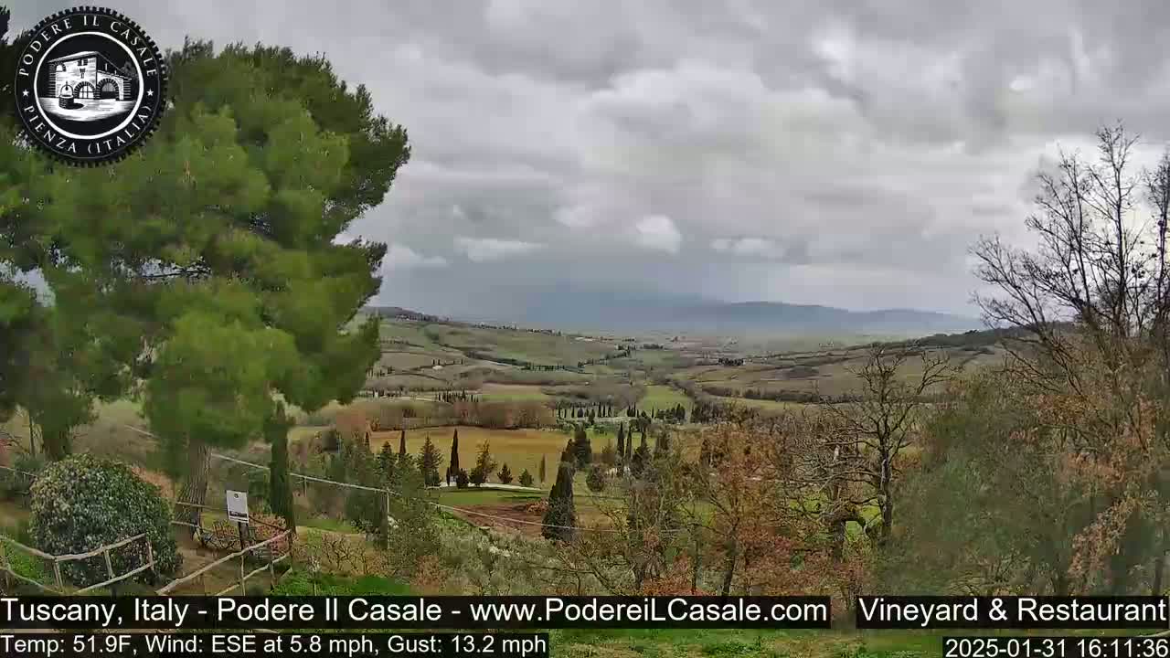 A sprawling, hilly landscape with vineyards and cypress trees is visible under an overcast sky.