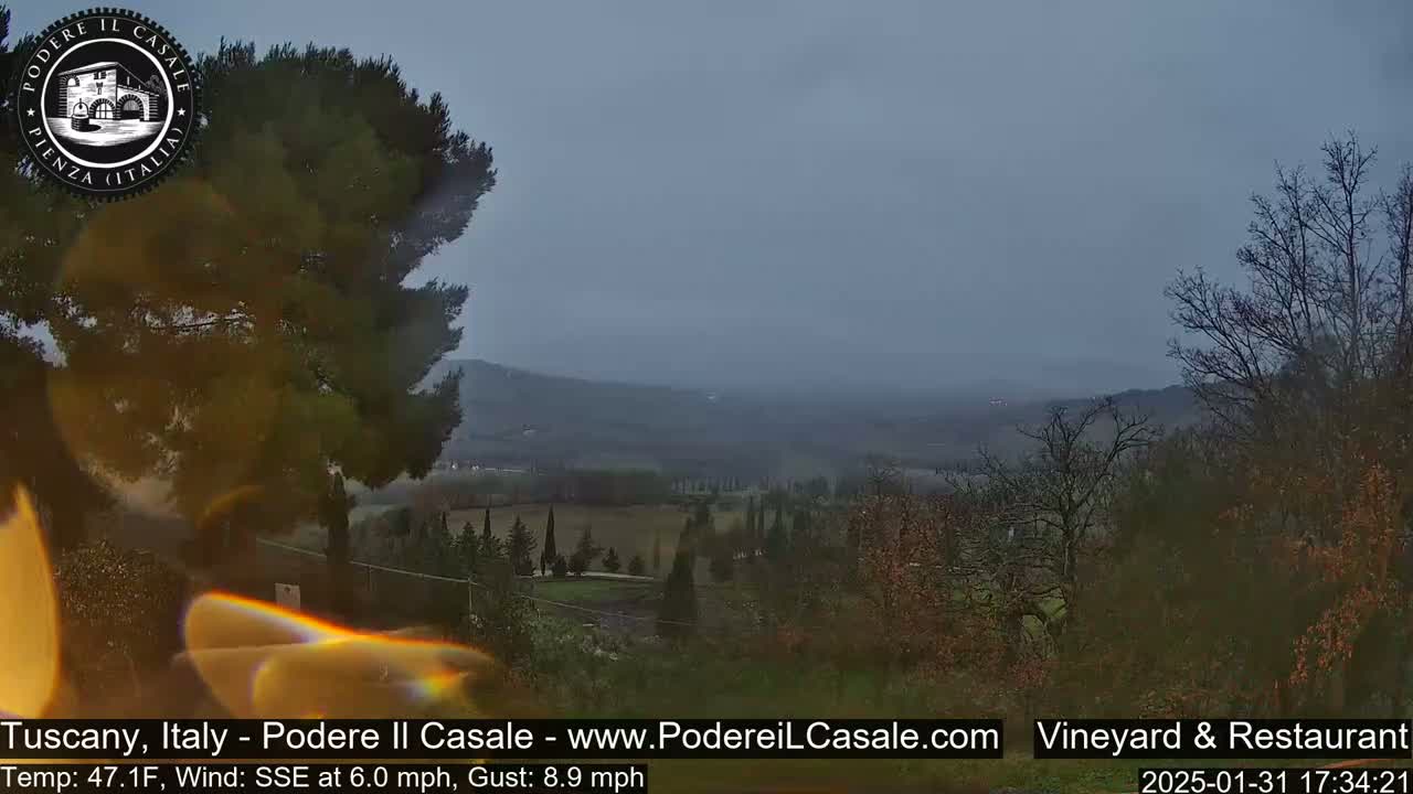 A hazy, overcast view of a Tuscan landscape shows rolling hills dotted with trees and a vineyard, seen from a vantage point among trees and shrubs.