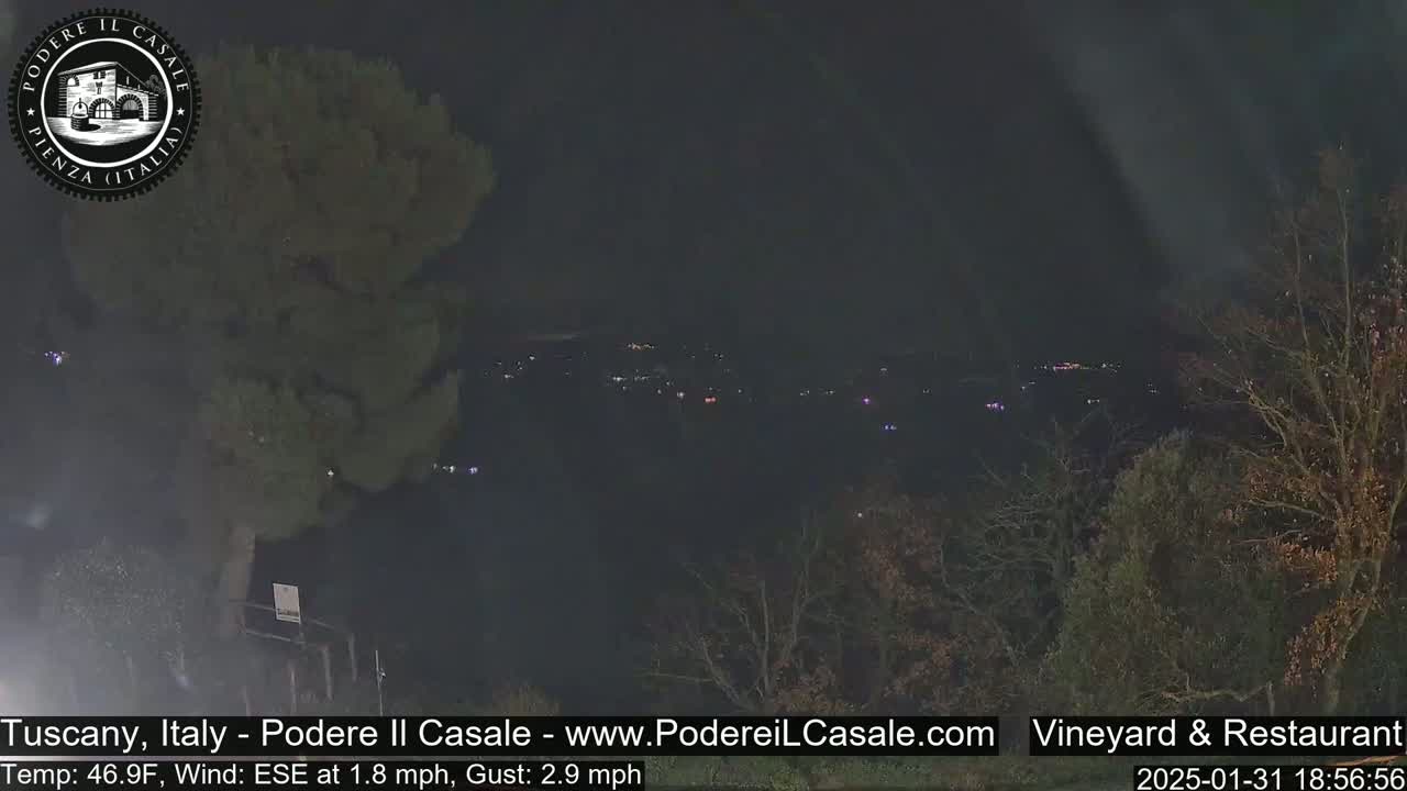 A nighttime view of a dark landscape with sparsely lit distant buildings, silhouetted trees in the foreground, and a gentle wind.