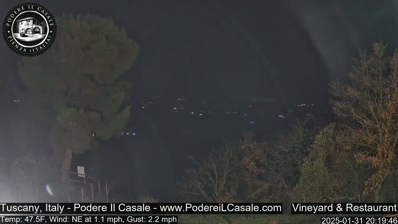 A nighttime view of dimly lit trees and a distant town under a dark sky with a gentle northeast wind.