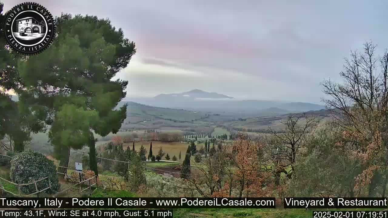 A hazy, gently rolling landscape of Tuscan hills and fields, partially shrouded in mist, is seen from a vantage point overlooking a vineyard with sparse, leafless trees in the foreground under a pale, overcast sky.