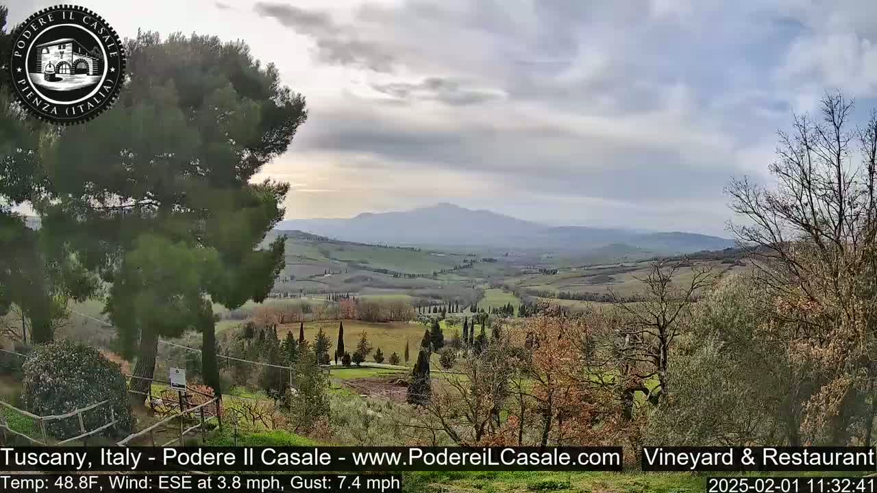 A partly cloudy day reveals a rolling Tuscan landscape of olive groves and cypress trees, with distant mountains under a pale sky.